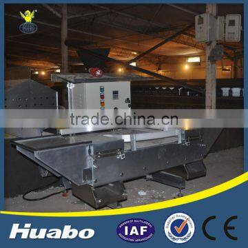Galvanized Welded Bird Chicken Farm Building Automatic Egg Laying Nest