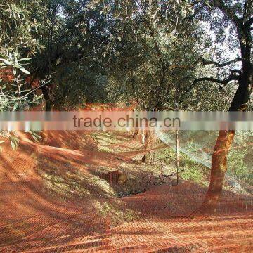 Spain Olive Harvest Nets