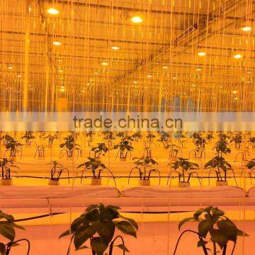 LED Grow Light With Hydroponic System Greenhouse photo-4
