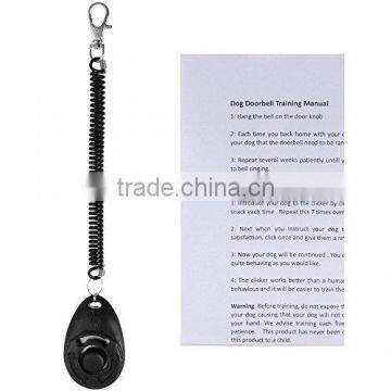 Super Quality Colorful Dog Leash and Collar photo-2