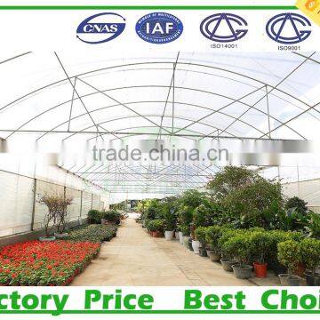 Poly Tunnel Agriculture Greenhouse China Factory photo-3