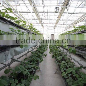 Greenhouse Kit photo-6