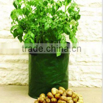 Eco Friendly Plastic Plant Pot