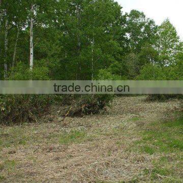 real estate for sale in Japan , property , hokkaido