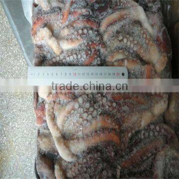 best quality and sea frozen octopus cleaned