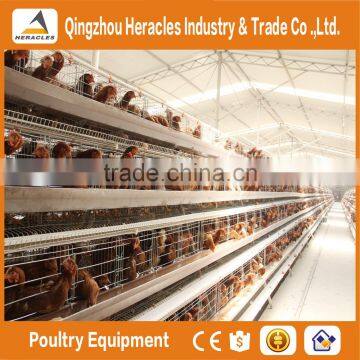 Trade assurance layer egg chicken cage --A type 4 layers chicken cage