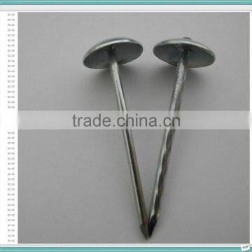 15 Degree Galvanized Umbrella Head Roofing Nail With Rubber Washer photo-5