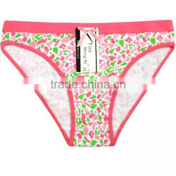 Sexy Hot Teen Girls Briefs Soft Cotton Panties With Printing Preteen Underwear photo-2