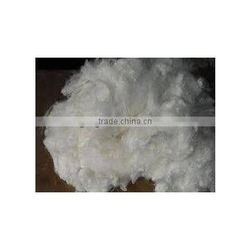 viscose staple fibre