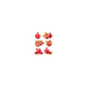 Natural plant extract pomegranate peel extract