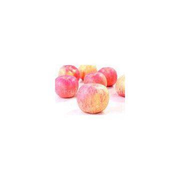 Decorative Small 95% Fresh Fuji Red Apple ,  9 KG - 28 , 32 , 36 , 40 Pieces