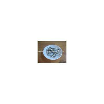 Stainless Steel Blind Rivet