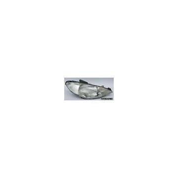P206 head lamp