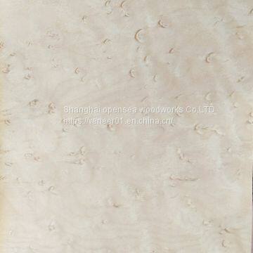 Natural Bird's Eye Maple Wood Veneer photo-2