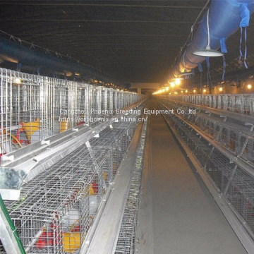 A-Type Chicken Cage