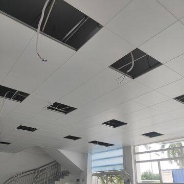 AA1050 Engraved Perforated Ceiling Sheets For Building Ceiling Decoration photo-4