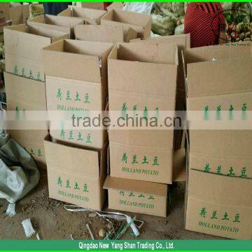 2014 Fresh Fruit Fuji Apple Wholesale for Dubai (In the Preferential...) photo-5
