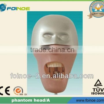 HOT selling CE approved phantom head (Model:A)