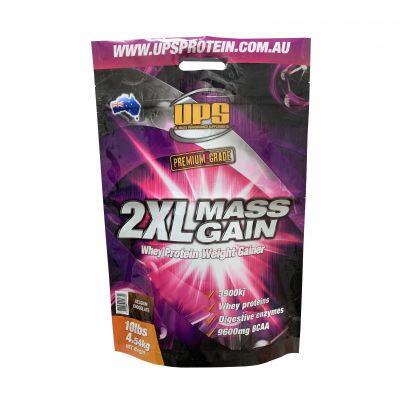 Custom Food Grade Aluminum Foil Stand Up Pouch 500g 1kg 4.54kg 10lbs Whey Protein Powder Packaging Bag with Zipper