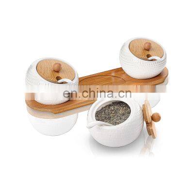 New Factory Custom unique ceramic kitchen storage spice jars set