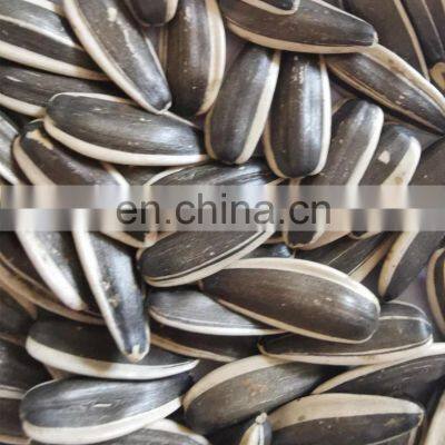Wholesale Chinese Famous Brand Qiaqia Roasted Sunflower Seeds Sunflower Kernel Seeds Sunflower photo-4