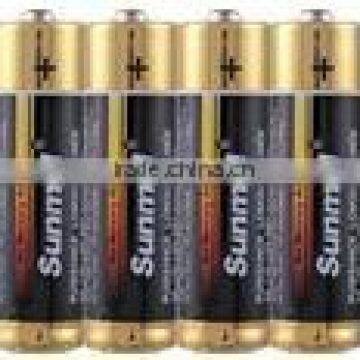 digitial camera alkaline battery aa