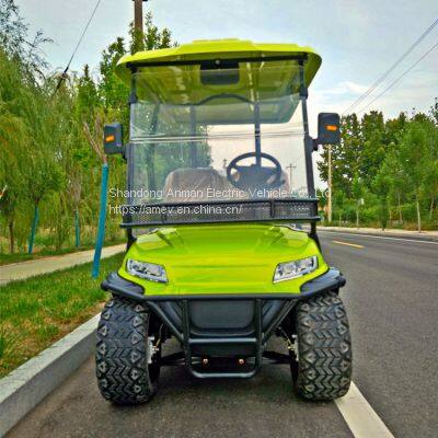 2+2 seat luxury electric golf cart, 4 people