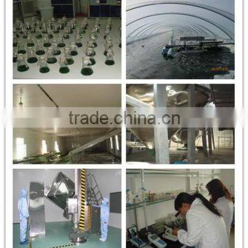 High Protein Food Supplyment Natural Spirulina Powder photo-2