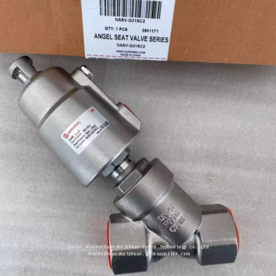 NASV-G31SC2, Norgren, Angle Seat Valve G1' Thread