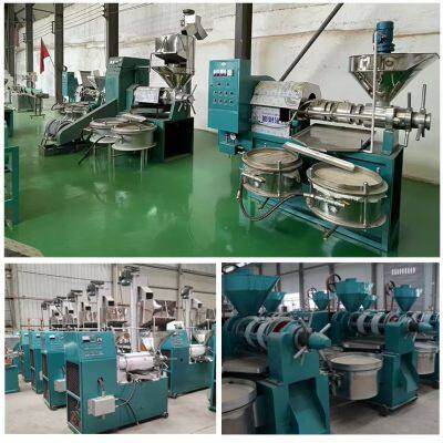 Pine Nut Soybean Oil Extraction Palm Kernel Oil Press Machine Hot and Cold Oil Production Line for Small Business photo-6