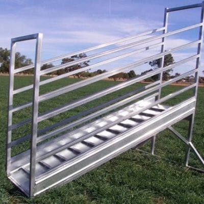 2025 New Mold Galvanized Steel Loading Ramp for Cattle photo-5