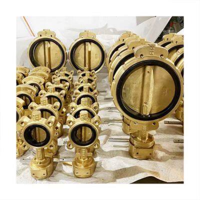 Chinese Supplier's EPDM Seat Brass Wafer Butterfly Valve Manual Power 4inch 6inch 8 Inch Disc Body DIN PN10 PN16 photo-2