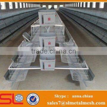 chicken farm supplies /layer egg chicken cage /poultry farm house design