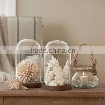 Glass Dome, Decorative Glass Dome, Glass Belljar Dome