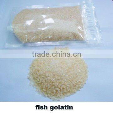 edible fish Gelatin with Halal for dairy products