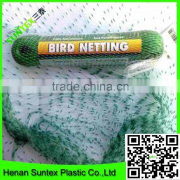 Supply Cheap Price Bird Capture Netting/woven Anti Bird Net/blue Bird Mist Net photo-2