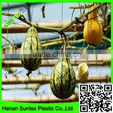 Heavy Duty Long-lasting Flexible Trellis Netting Growing Squash Support Net