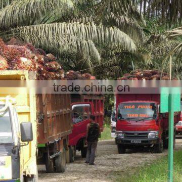 Palm Oil Refinery Plant photo-2