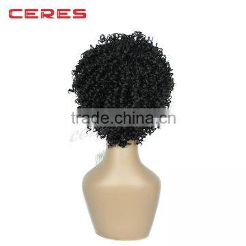 Wholesale Cheap Synthetic Hair Afro Kinky Curly Wig photo-5