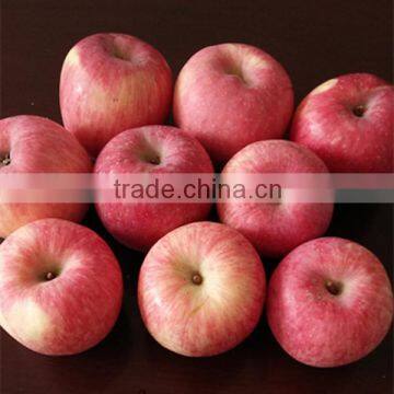 2015 New Year Fresh Fuji Apple Biggest Exporter Chinese Fresh Fruit Red Apple Fuji