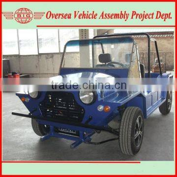 China Classic Electric Mini Moke New Cars for Sale