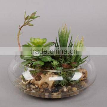 Hot selling nice handmade artificial tropical mini succulent in glass pot for hotel, home decor