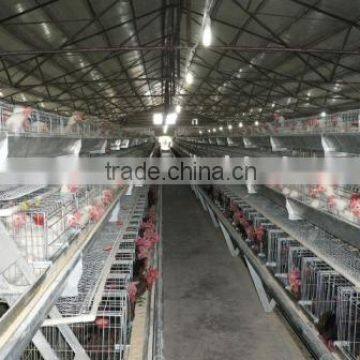 A Frame Breeder Raising Equipment