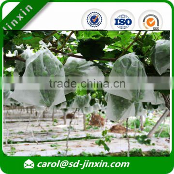 Cheap Grape Bags/Fruit Growing Protection Bags / Nonwoven Packing Bag/Fruit Cover Bag