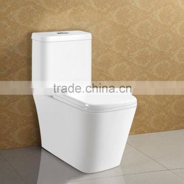 Restroom Ceramic Washdown Western WC photo-3