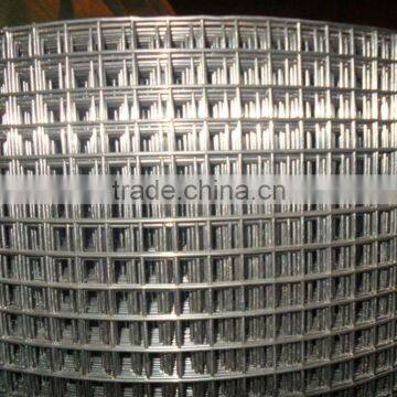 Export Standard Welded Wire Mesh (Professional Factory, Producer)