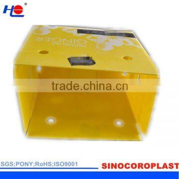 PP Corrugated Plastic Fluted Ginger Box