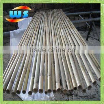Bambu pole for plants 10' X 30/35mm