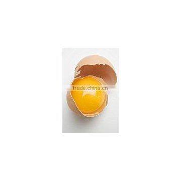 Zhenjiang high quality egg albumen powder spray dried