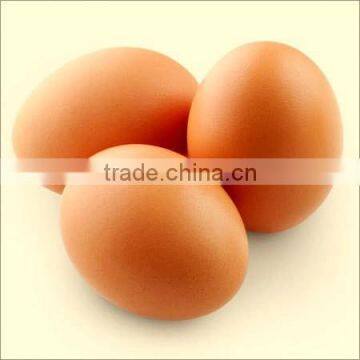 FRESH BROWN CHICKEN EGGS